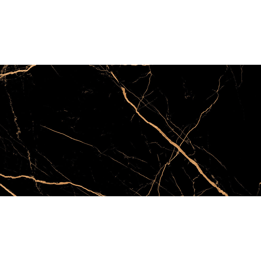 Tile - Atlantis Black Gold 60x120