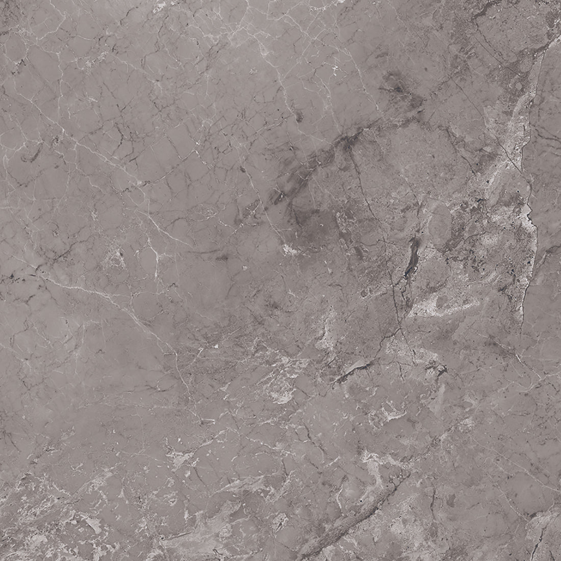 Castano Gris 60x60 Polished